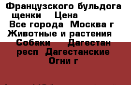 Французского бульдога щенки  › Цена ­ 35 000 - Все города, Москва г. Животные и растения » Собаки   . Дагестан респ.,Дагестанские Огни г.